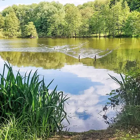 Am Sternberg 224 By Interhome * Frankenau