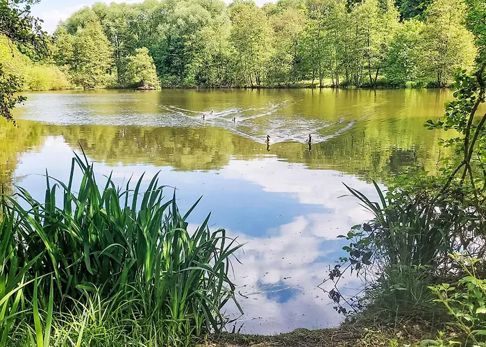 Am Sternberg 224 By Interhome * Frankenau